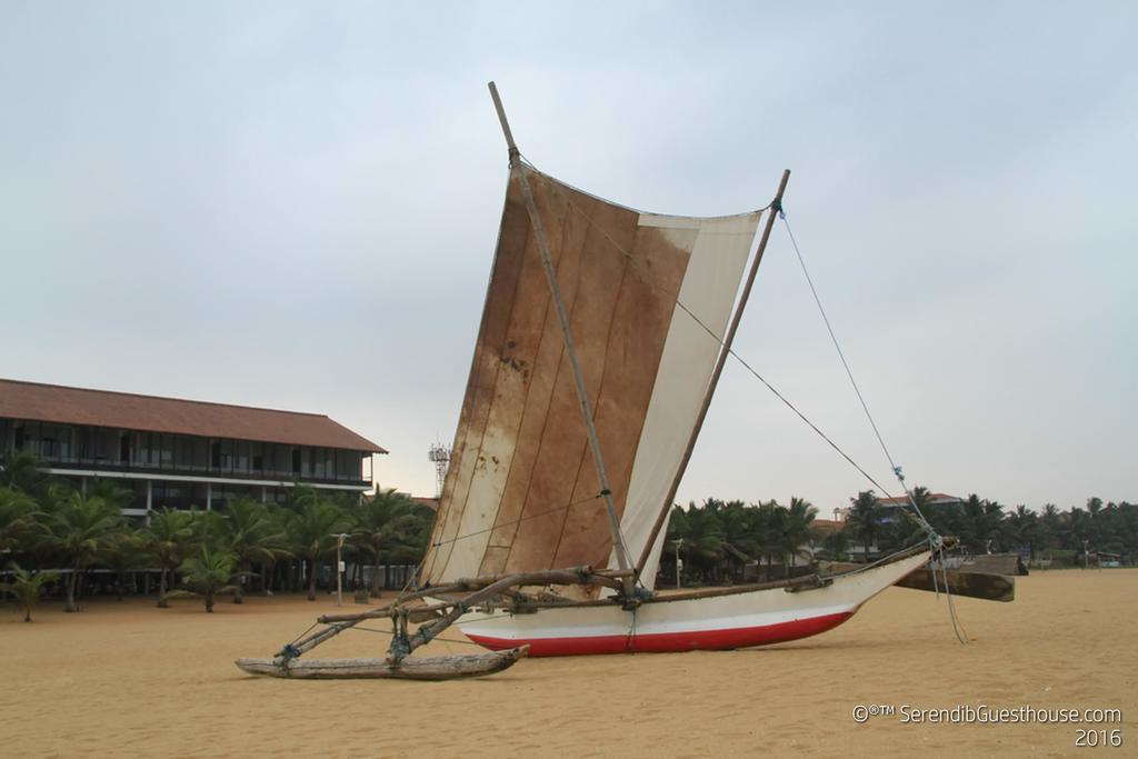 Serendib Guest House Negombo Zewnętrze zdjęcie