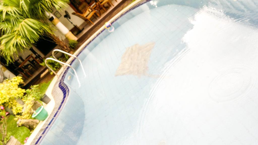 Serendib Guest House Negombo Zewnętrze zdjęcie